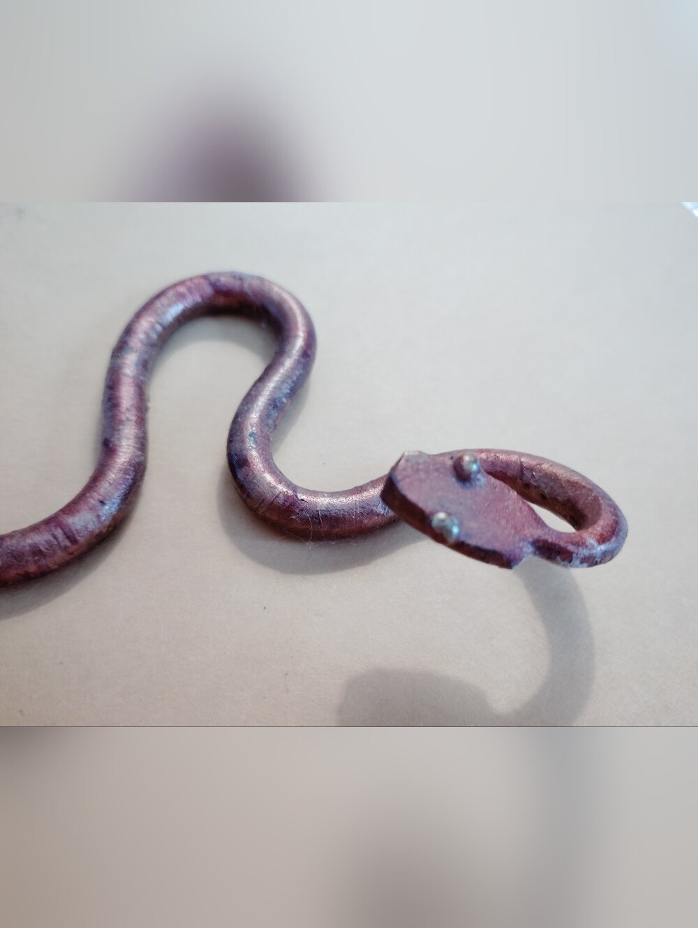Copper Colored Snake - Picture 3 of 4